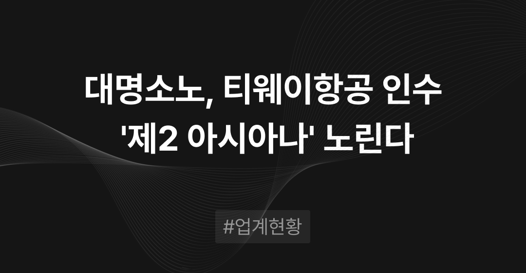 티웨이항공 품은 대명소노그룹, '제2 아시아나' 될까?..항공 산업 재편 분석  | 브릿지코드 썸네일 이미지